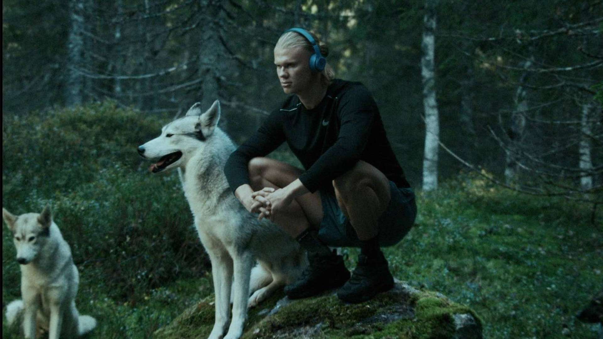 也从侧面验 也从侧面验