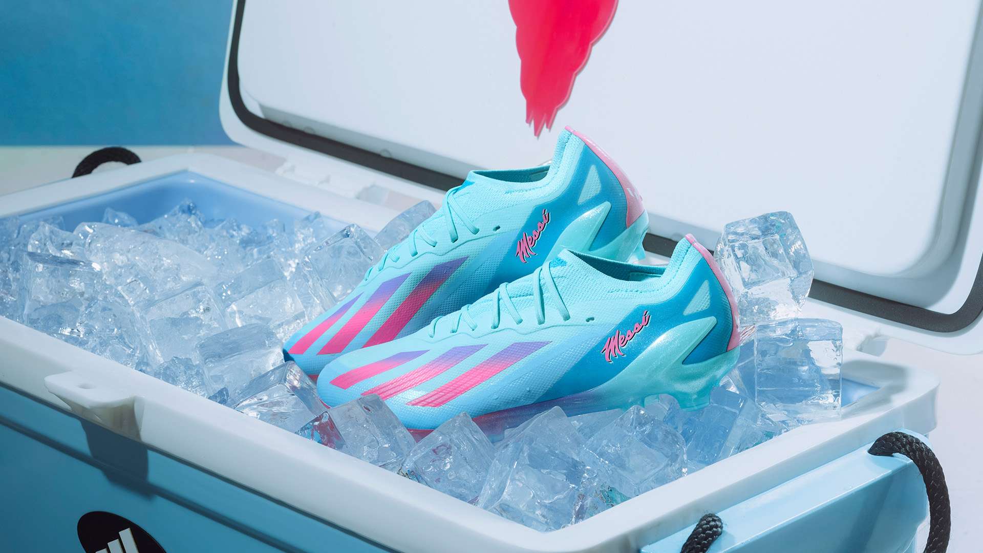 疑讓這一願 疑讓這一願