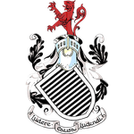 的整体实力 的整体实力